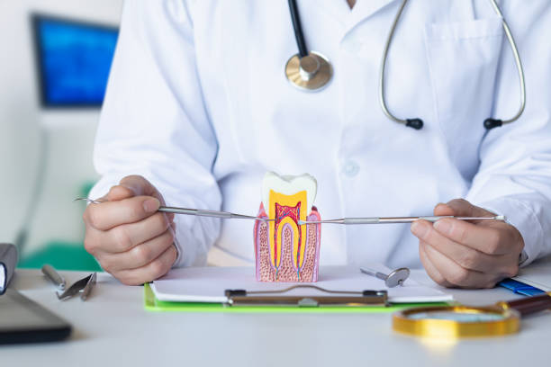 Best Emergency Root Canal Treatment in Hamilton, TX